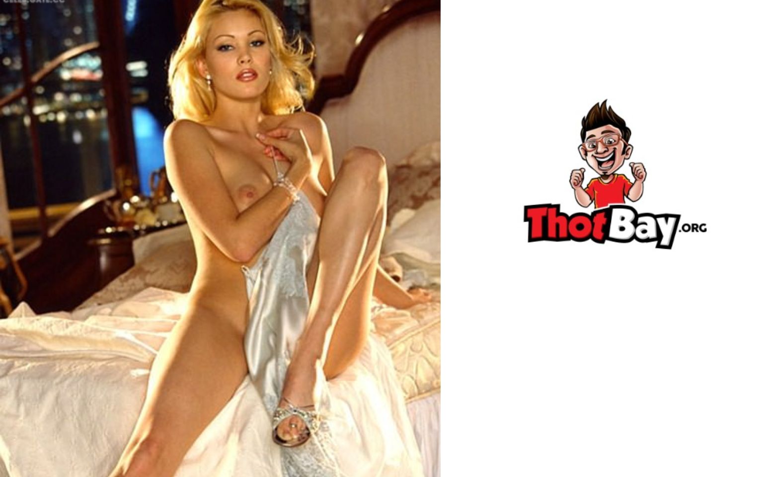 Shanna Moakler playboy